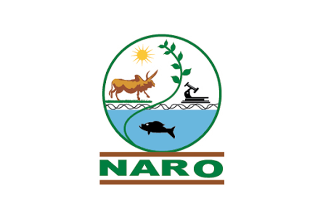 NARO Logo